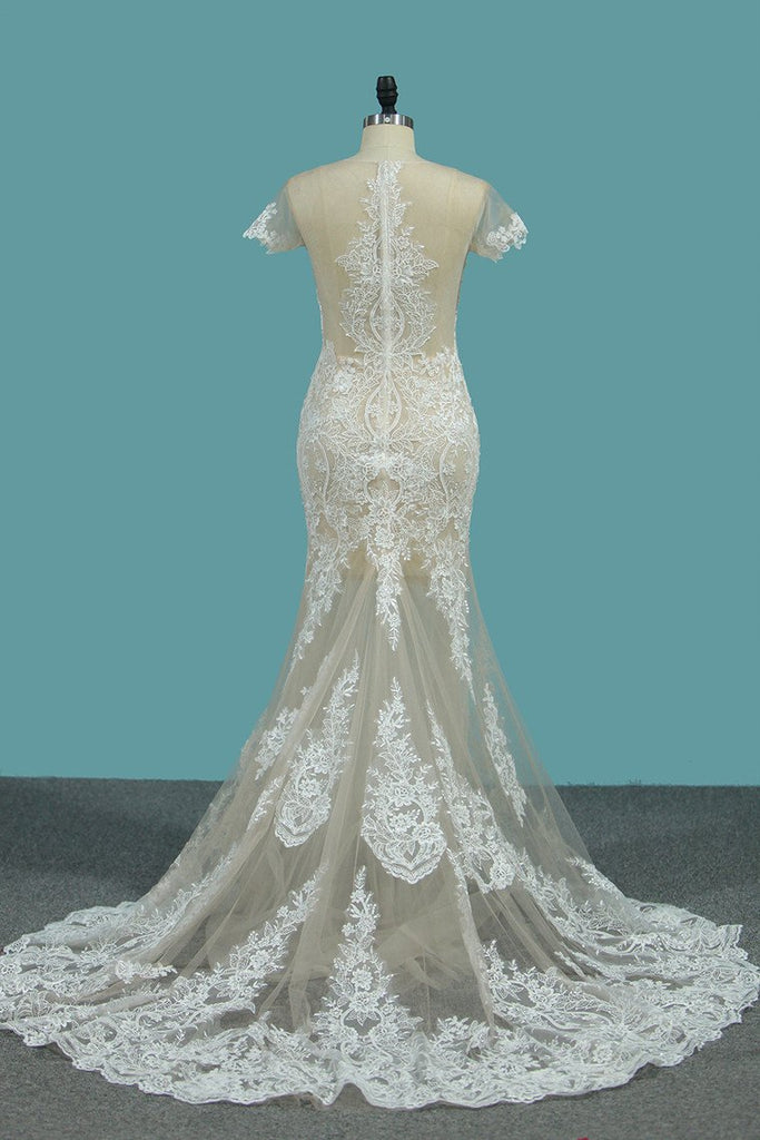 Scoop Short Sleeve Mermaid Tulle Lace Applique Wedding Dresses PDE76