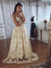 Charming Spaghetti Straps A Line V Neck Prom Dresses Long Appliques Wedding Dresses PD149