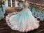 Princess Ball Gown Flower Appliques Prom Dress,Quinceanera Dresses PDE65
